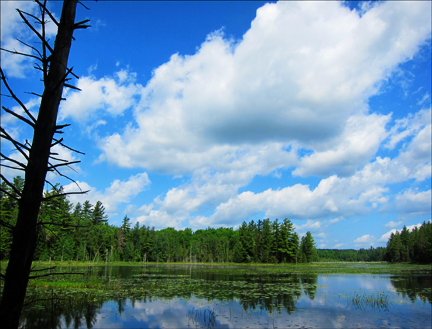 Adirondack Wetlands: Heron Marsh at the Paul Smiths VIC